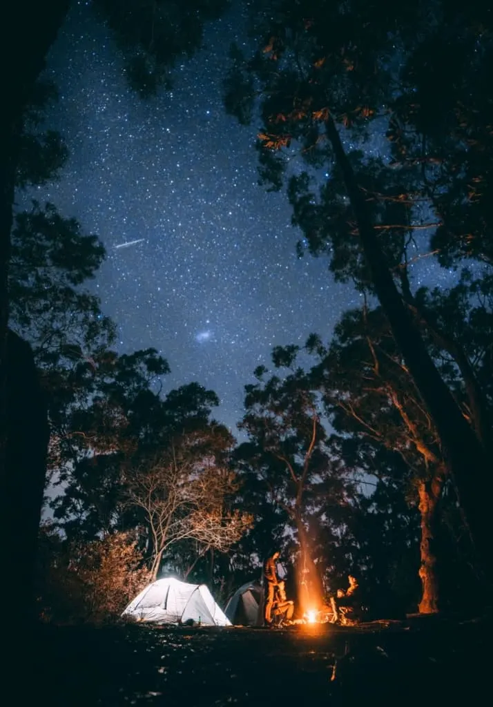 campfire and family camping under a beautiful starry sky