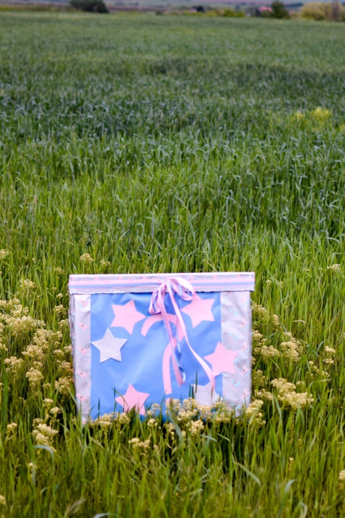 a pink and blue decorated box outside in the grass.