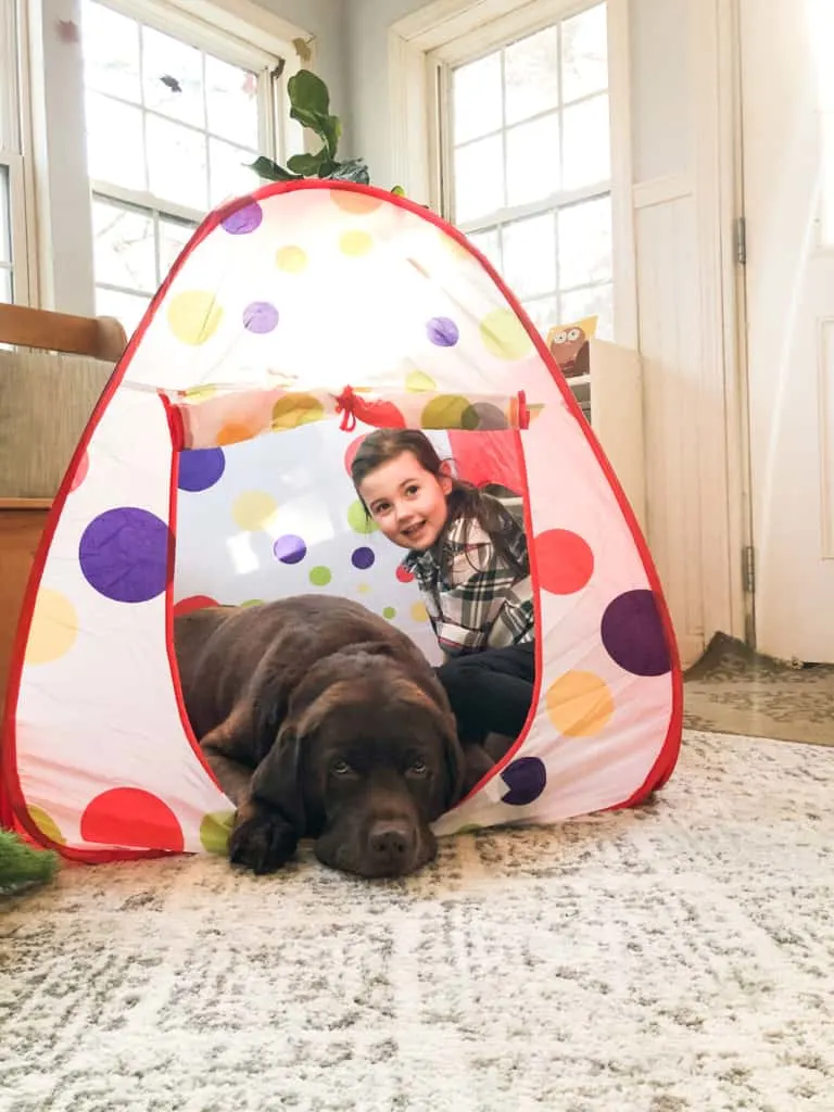 dog and kid in tent