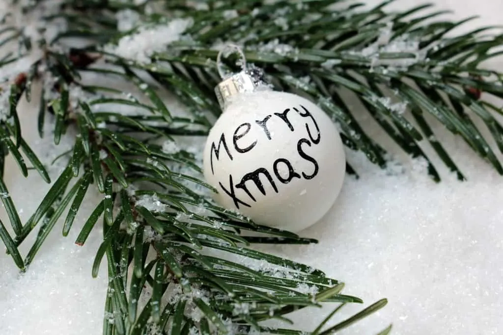 Merry xmas Christmas ornament on tree limb.