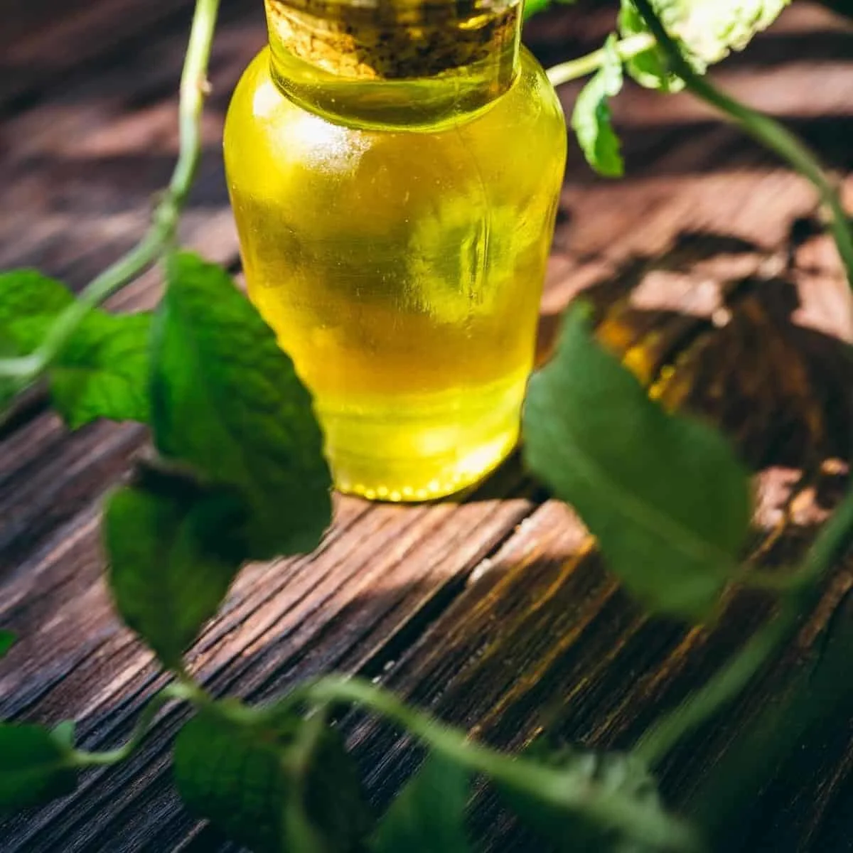 A small bottle of peppermint beard oil on a wood table behind foliage.
