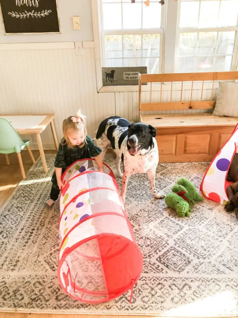 toddler playing with a dog and a tunnel