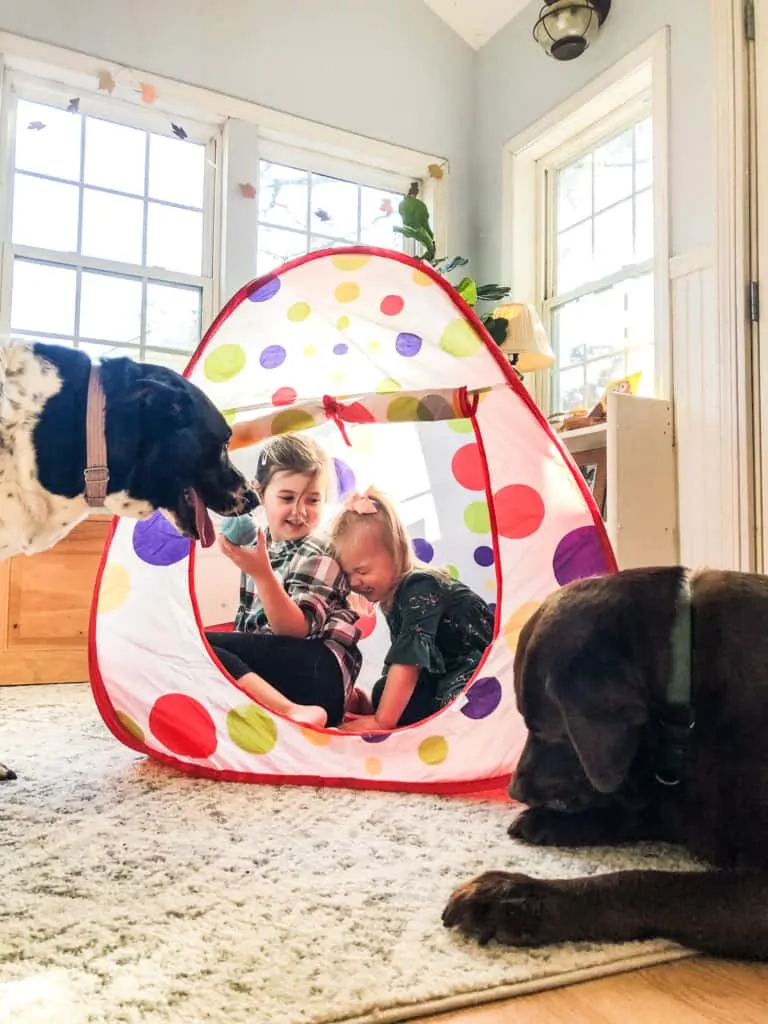 kids playing in pop up tent with dogs outside of it