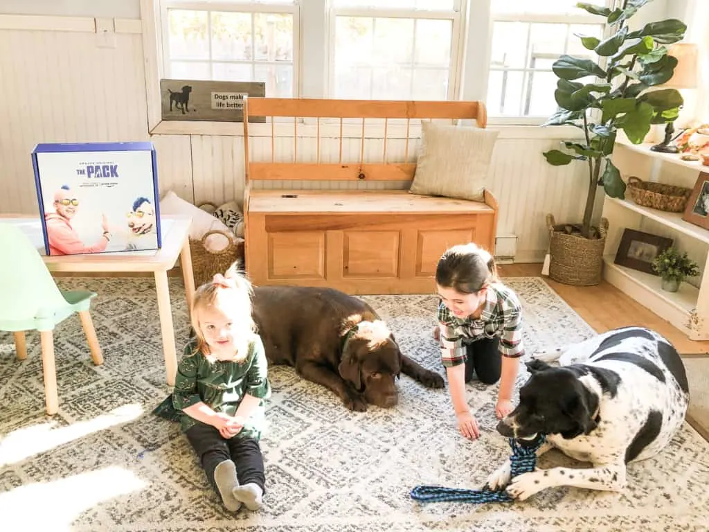 kids playing with dogs on rug with amazon the pack on prime marketing box