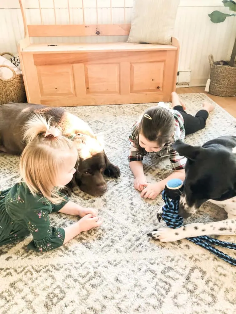 kids laying with two dogs on the ground