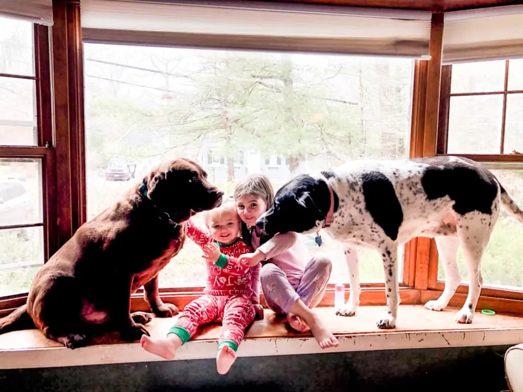 two dogs and two girls on bay window seat