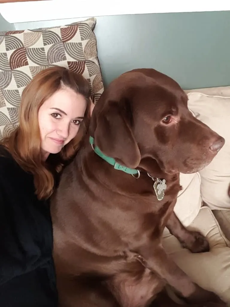 woman hugging chocolate lab dog on her lap