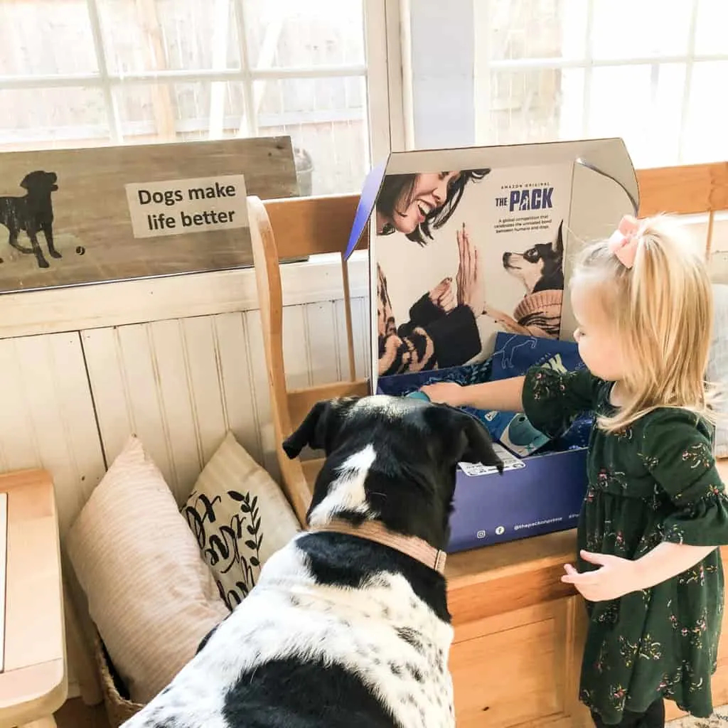 toddler with dog looking at an amazon the pack on prime marketing box