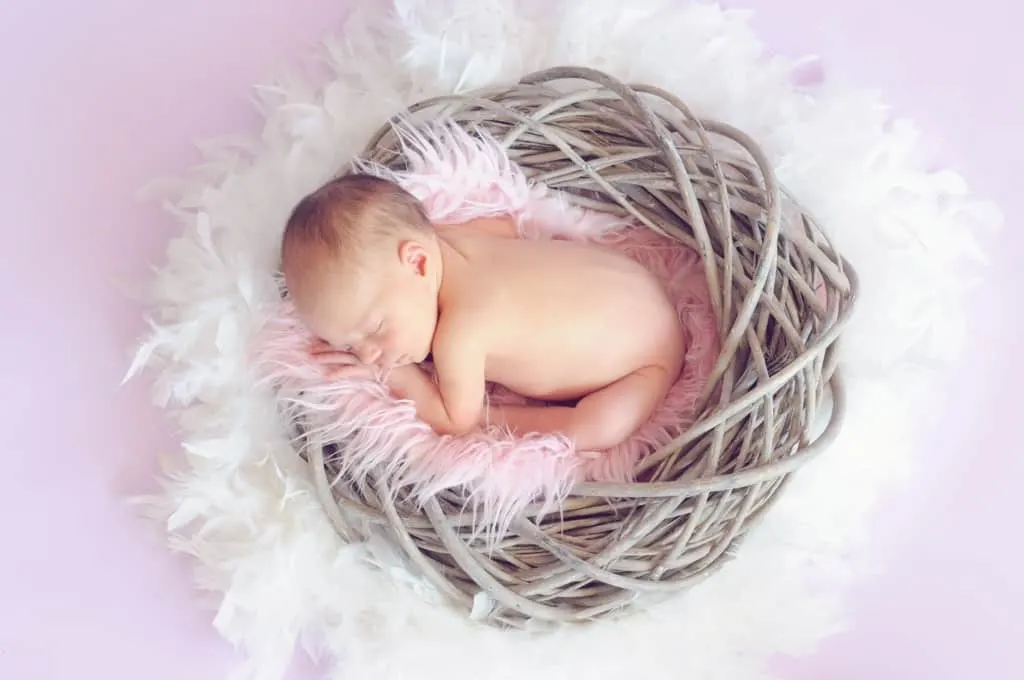 Newborn baby girl sleeps in basket nest with pink, furry blanket.