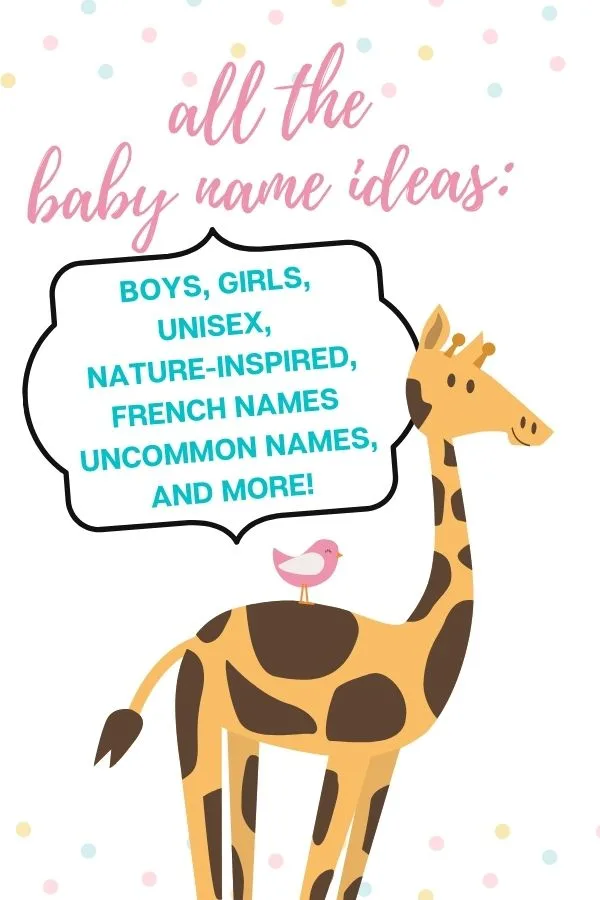 baby name ideas graphic