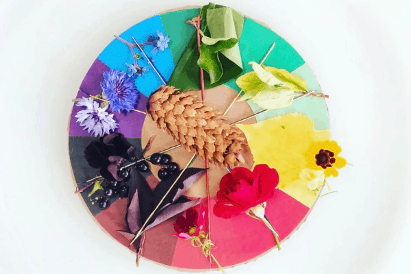 a color wheel with matching items from nature.
