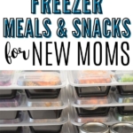 Pinnable image of 50 delicious freezer meals and snacks for new moms.