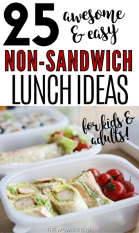 25 Awesome Non-Sandwich Lunch Ideas | The Mom Friend