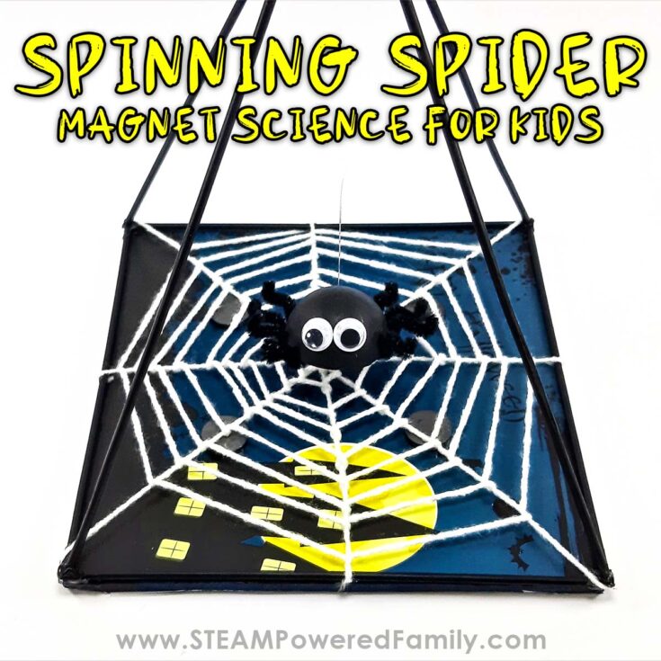 Image for Spinning Spider &ndash; Magnetic Science