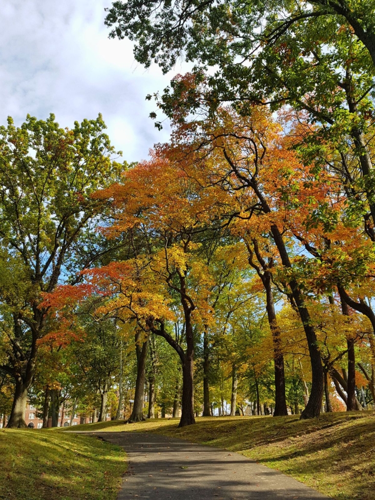 Fall foliage in Stephens R Gregg Park in Bayonne, NJ