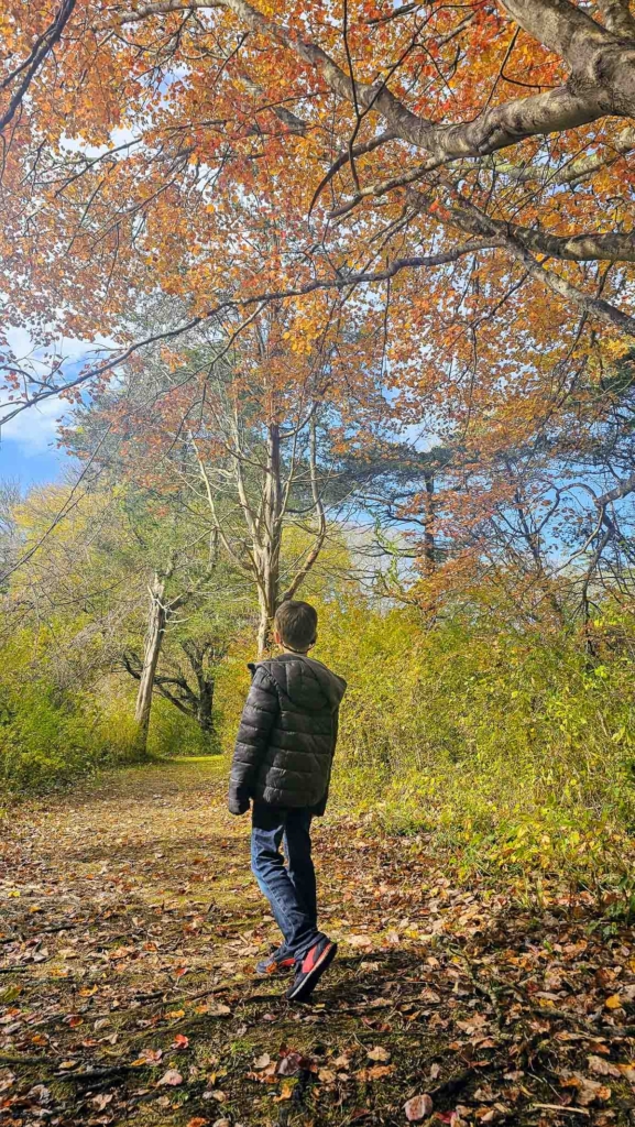 Boy walking through Fall foliage at a bird sanctuary outside of Newport, RI